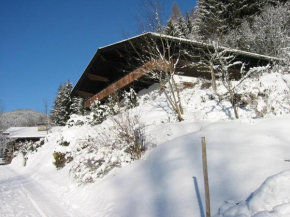 Ferienwohnung Hans Ebner Eben Im Pongau